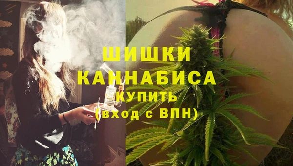 крисы Ветлуга