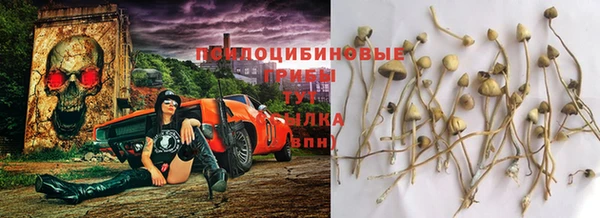 прущий лед Армянск